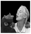 Jane Goodall